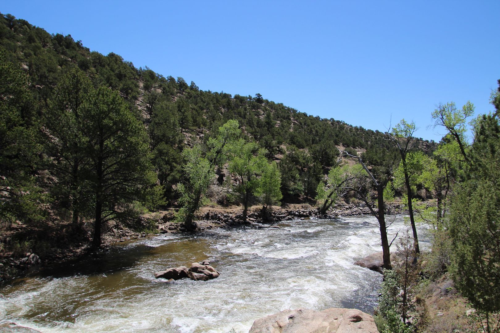 Winds of Destiny RVLife A Walk in Buena Vista River Park, 5/16/2018
